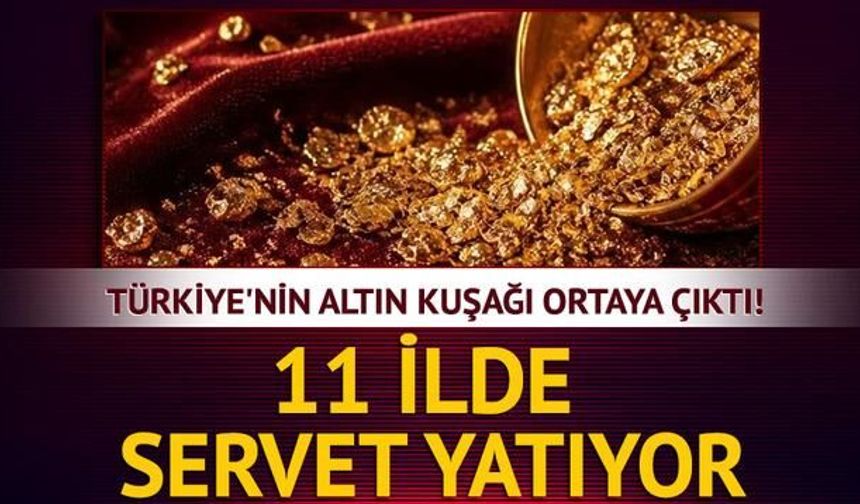 Türkiye'nin Altın Kuşağı: 11 İlde Yüksek Altın Potansiyeli Belirlendi