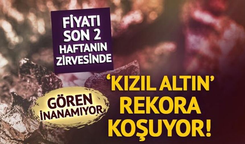 Bakır fiyatları tarihi zirveye yaklaşırken fark yüzde 3'ün altına indi