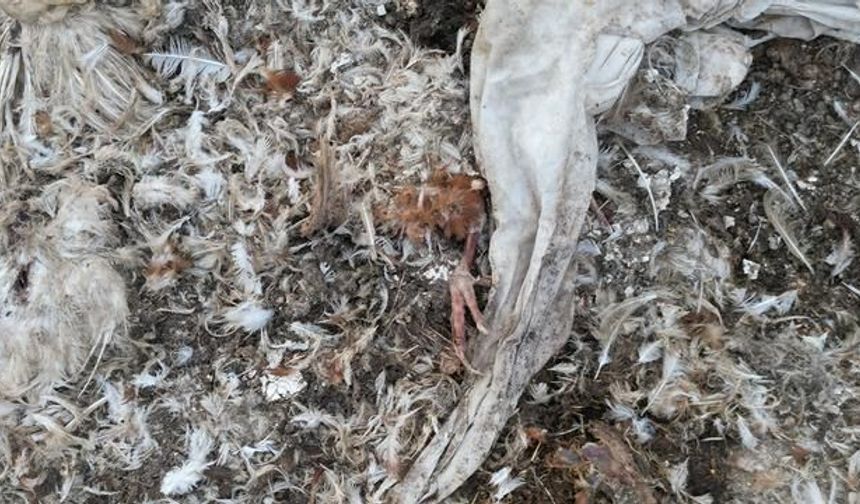 Bolvadin'de Eski Kum Ocağı Atıklarla Dolu Çevre Felaketine Dönüştü