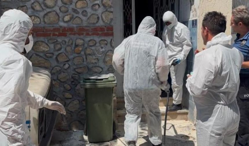 Bursa'da pire istilası: Sağlıksız koşullarda tutulan hayvanlar kurtarıldı