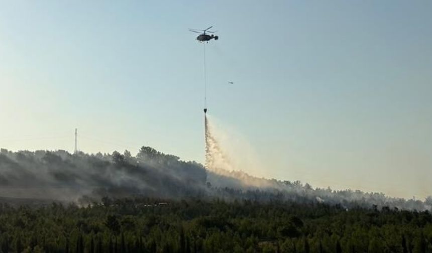 Çanakkale Bayramiç'te Orman Yangınına Müdahale Sürüyor