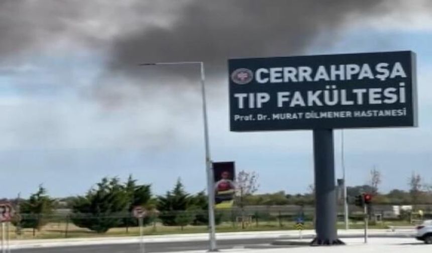 Cerrahpaşa Hastanesi Bahçesinde Yangın Çıktı, Ekipler Müdahale Ediyor
