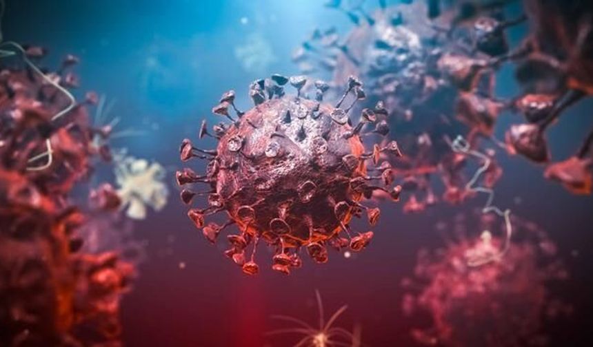 Dünya Sağlık Örgütü: Demokratik Kongo Cumhuriyeti'nde Ebola Salgını Kontrolden Çıkıyor