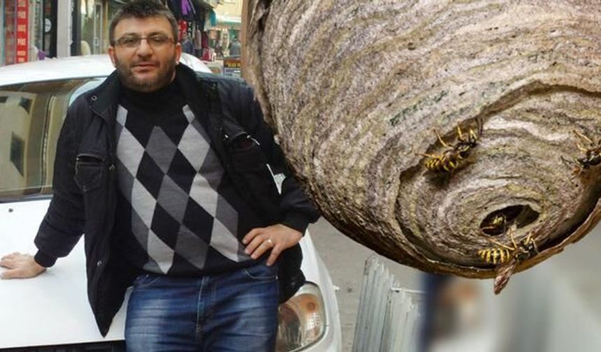 Isparta'da Eşek Arısı Saldırısı Sonrası Tedavi Gören Zafer Kaya Hayatını Kaybetti