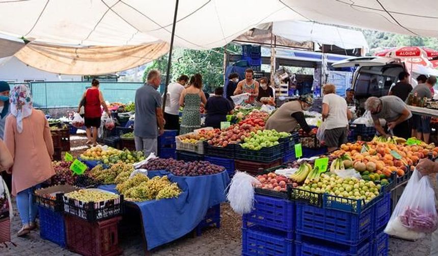 Meyve ve Sebze Fiyatlarında Düşüş: Pazarda Bolluk ve Uygun Fiyatlar
