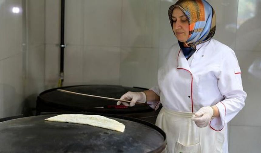 Ninelerinin tarifini yaşatıyorlar: Kaz otu gözlemesi ilgi görüyor