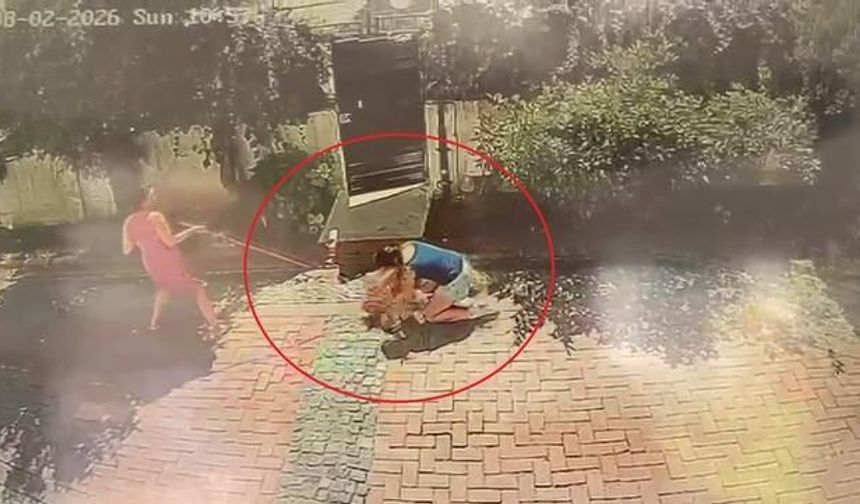 Samsun'da Pitbull Saldırısı: Küçük Kız Yere Savruldu, Poodle Cinsi Köpek Ağır Yaralandı
