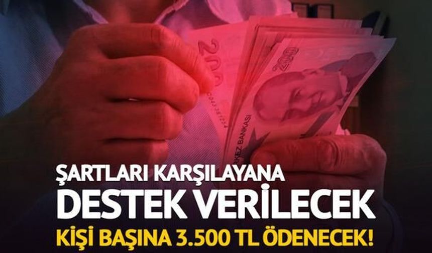 SGK'dan iş verene destek: Çalışan başına 3.500 TL ödenecek