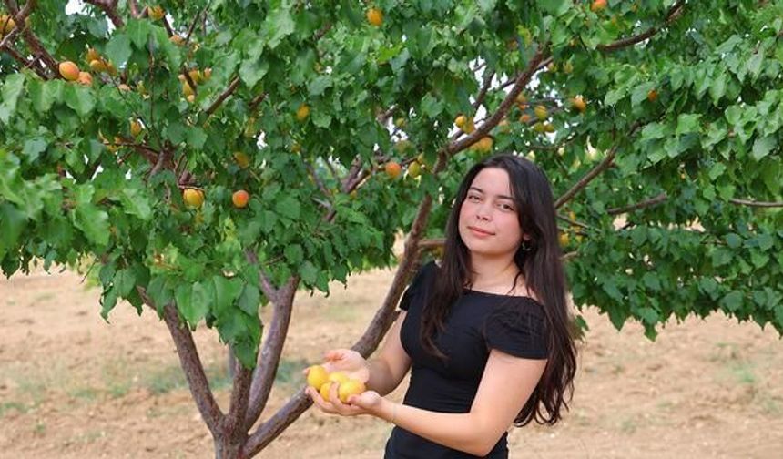 Susuz Tarımda Leonardit Gübreyle 4 Ton Kayısı Hasadı ve Ödüllü Proje