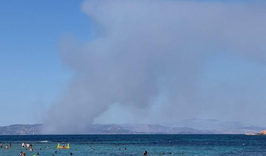 Yunanistan'ın Salamina Adası'nda Orman Yangını: 2 Kişi Hayatını Kaybetti