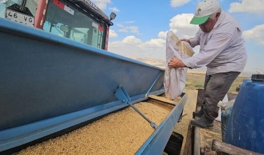 Adilcevaz'da buğday ekim sezonu başladı, üreticiler verimli bir yıl için umutlu
