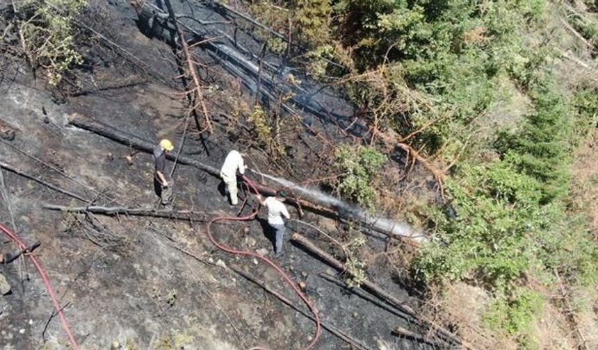 Kastamonu Daday'da Elektrik Akımına Kapılan İşçi Orman Yangınına Neden Oldu