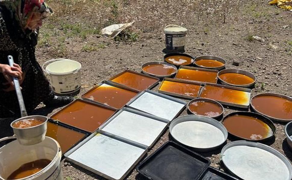 Bingöl'de Geleneksel Dut Pekmezi Üretimi Sürüyor