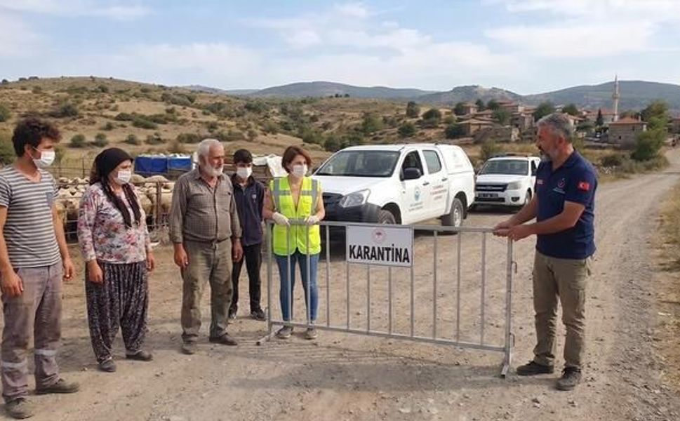 Bergama'da Mavi Dil Hastalığı Nedeniyle 15 Mahallede 40 Günlük Karantina Başladı