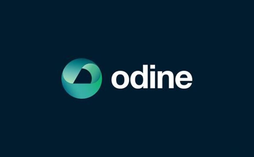 Cengiz Avcı'nın Odine hissesinden 15 milyar TL kazandığı tespit edildi, yakalama kararı çıkarıldı