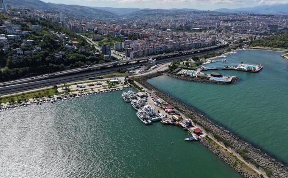 Karadeniz'de Balık Bolluğu Palamut Fiyatlarını 50 TL'ye Düşürdü
