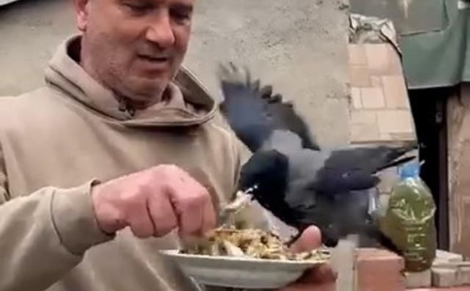 4 Yıldır Beslediği Kargasına Elinden Balık Verdi