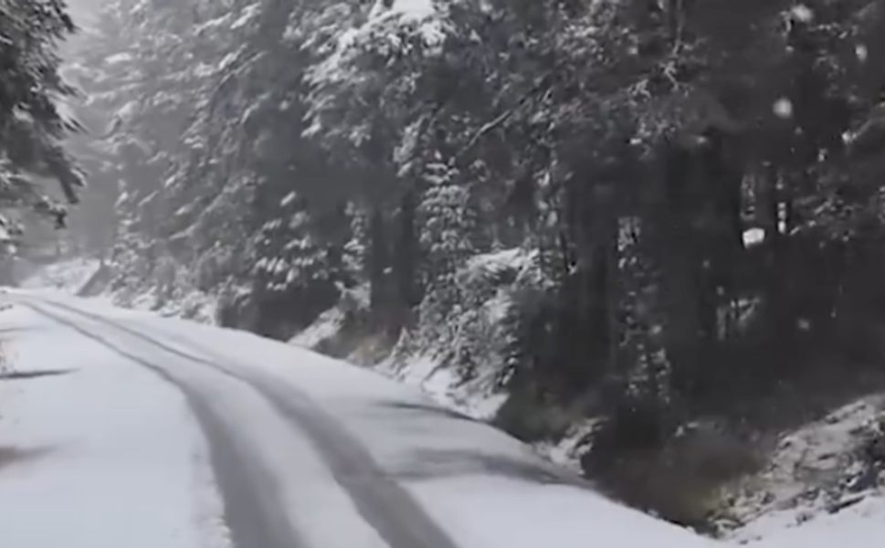 Bolu'nun Yüksek Kesimlerinde Kar Yağışı Görüntüleri