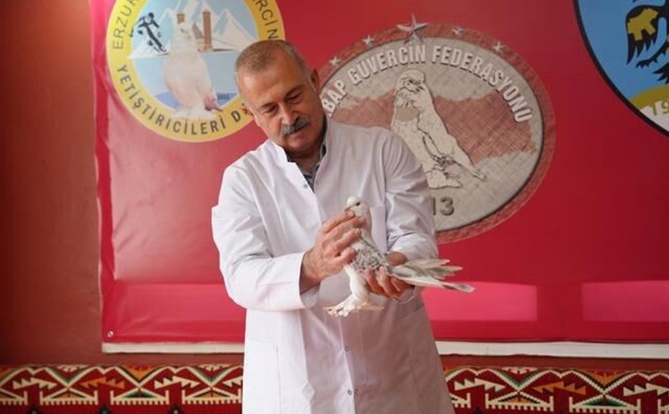 Erzurum'da emekli başçavuş güvercinleri için 3+1 ev kiraladı