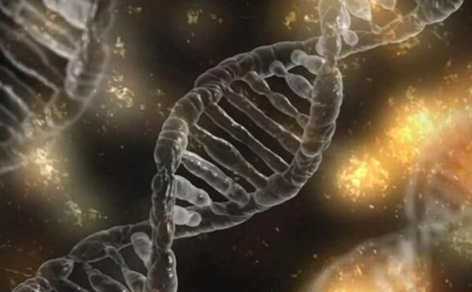 Genetik risklerin etkisini yaşam tarzıyla azaltmak mümkün