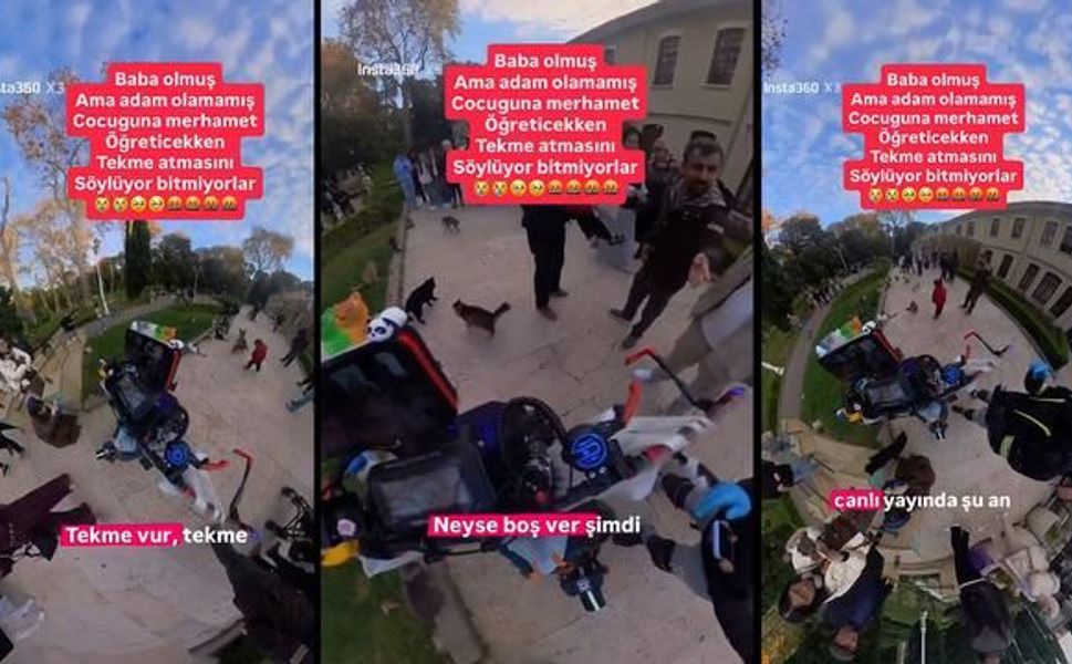 Gülhane Parkı'nda babanın çocuğuna kedilere şiddet öğretmesi tepki topladı