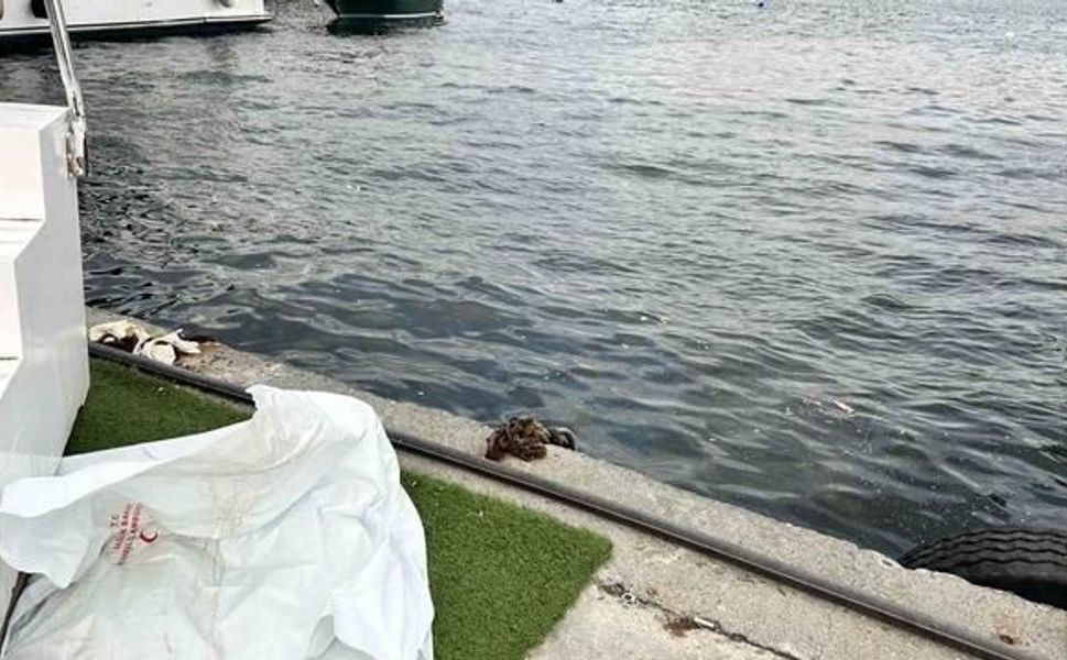 İstanbul Fatih Cibali Sahili'nde Denizde Erkek Cesedi Bulundu