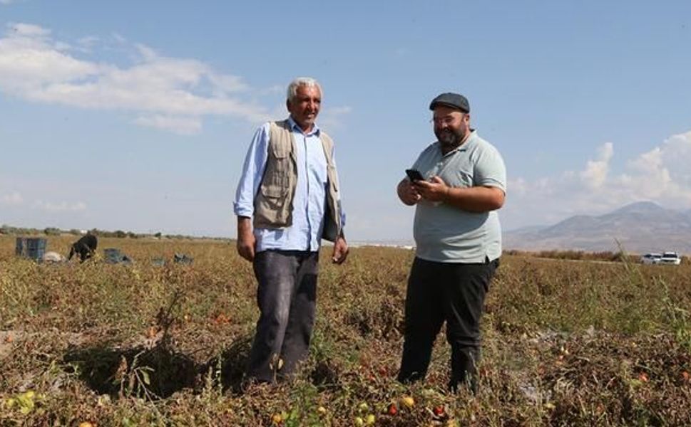 Kayseri'den 20 Ülkeye Kuru Domates İhracatı Yapılıyor