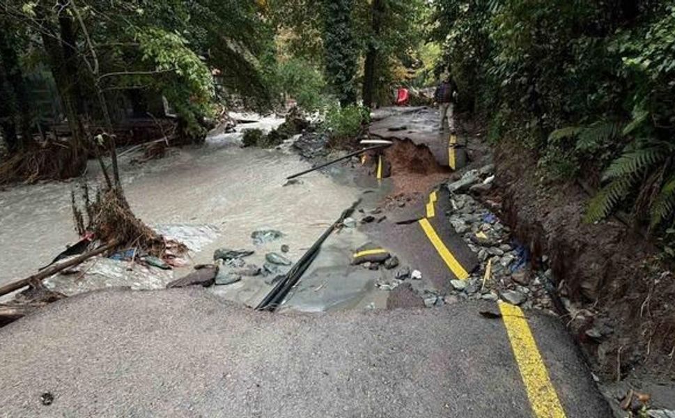 Sakarya Sapanca'da Sel Ağaç ve Elektrik Direklerini Devirdi