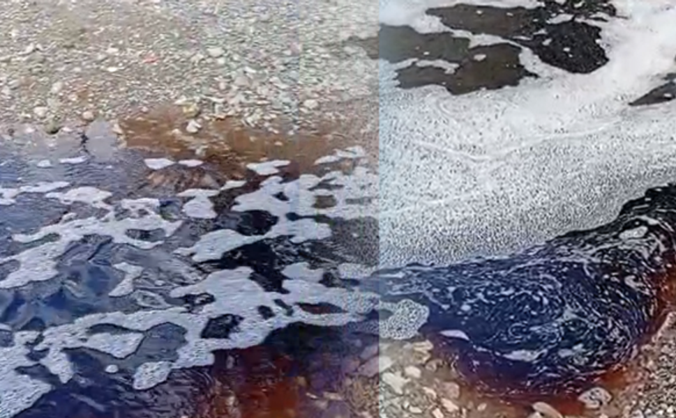 Yalova Taşköprü açıklarında denizde kırmızı renkli sıvı görüldü