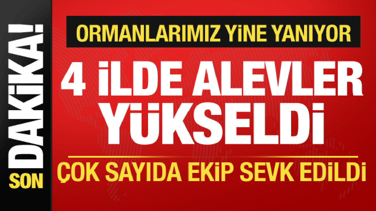 4 ilde orman yangını! Rüzgarın etkisiyle alevler büyüyor