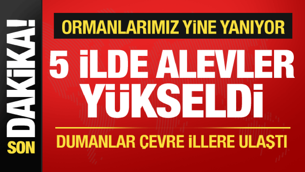 5 ilde orman yangını! Rüzgarın etkisiyle alevler büyüyor