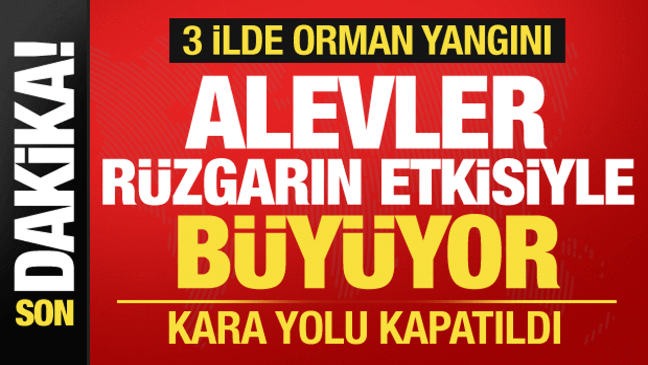 Bursa, Çanakkale, Hatay... 3 ilde orman yangını! Havandan ve karardan ekipler sevk edildi