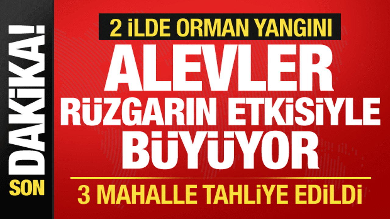 Çanakkale ve Mersin'de orman yangını! 3 mahalle tahliye edildi