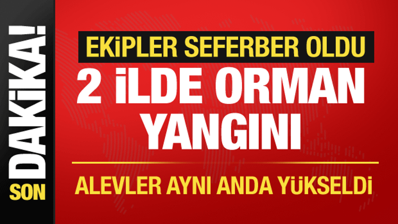 Karabük ve Denizli'de aynı anda orman yangını! Ekipler sevk edildi