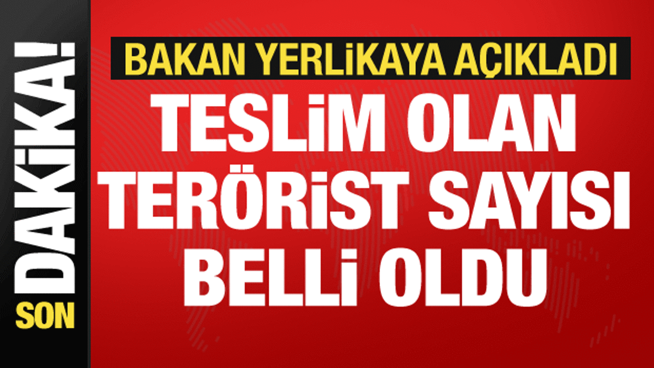 Bakan Yerlikaya duyurdu: 2025 yılında 103 terör örgütü mensubu teslim oldu