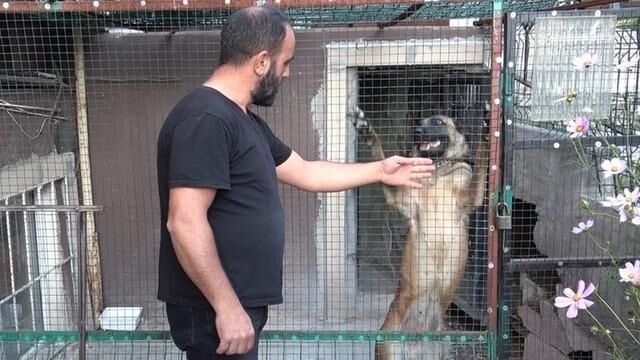 Erzurum'da 800 bin TL değerindeki güvercinler 24 saat güvenlik altında