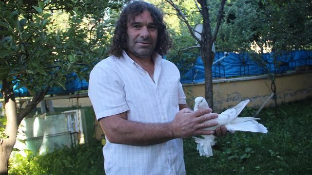 Erzurumlu şoförün 6 Şebap güvercininin toplam değeri 700 bin TL'yi buluyor