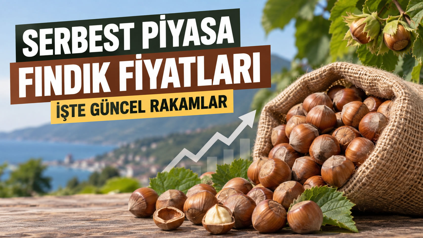Serbest Piyasa Fındık Fiyatları: Bugün Fındık Kaç TL?