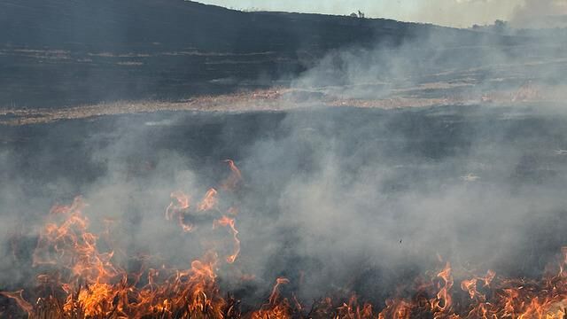 Tekirdağ Muratlı'da Anız Yangınına İtfaiye Müdahale Ediyor