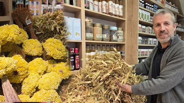 Ihlamur fiyatları uzun yıllar sonra düştü, kilosu 1500 TL'den satılıyor
