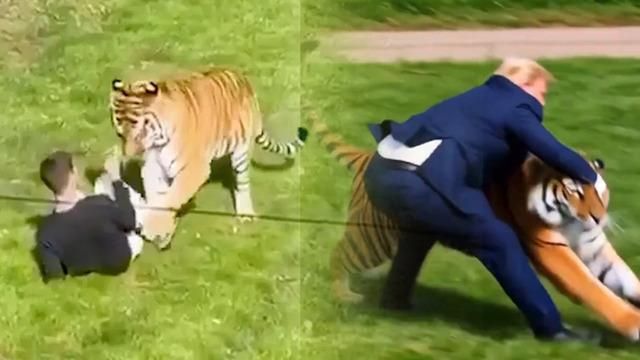 İngiltere'deki kaplan saldırısında ölen ziyaretçi sonrası Trump'tan yapay zeka videosu